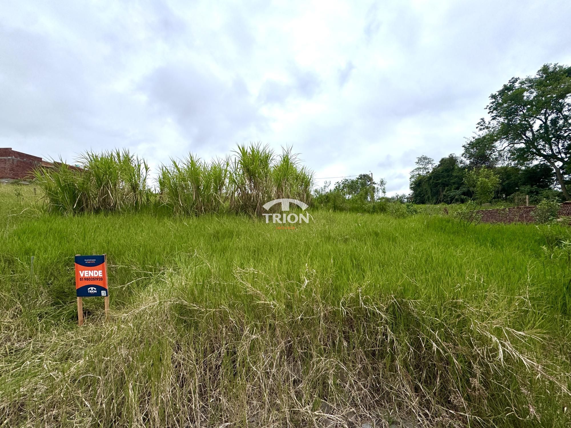 Terreno, 200 m² - Foto 3