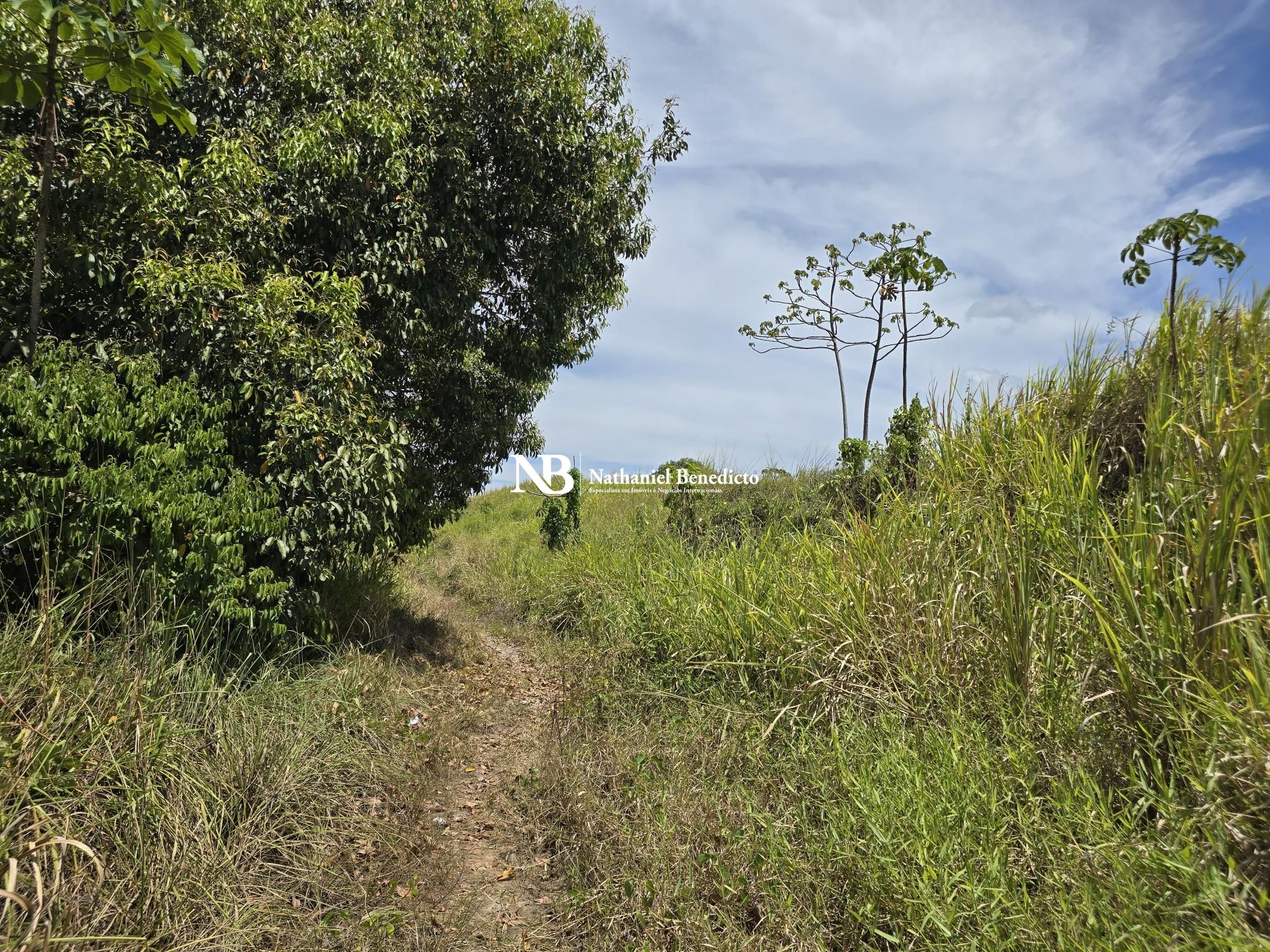 Terreno/Lote à venda  no Distrito Industrial Diper - Cabo de Santo Agostinho, PE. Imóveis