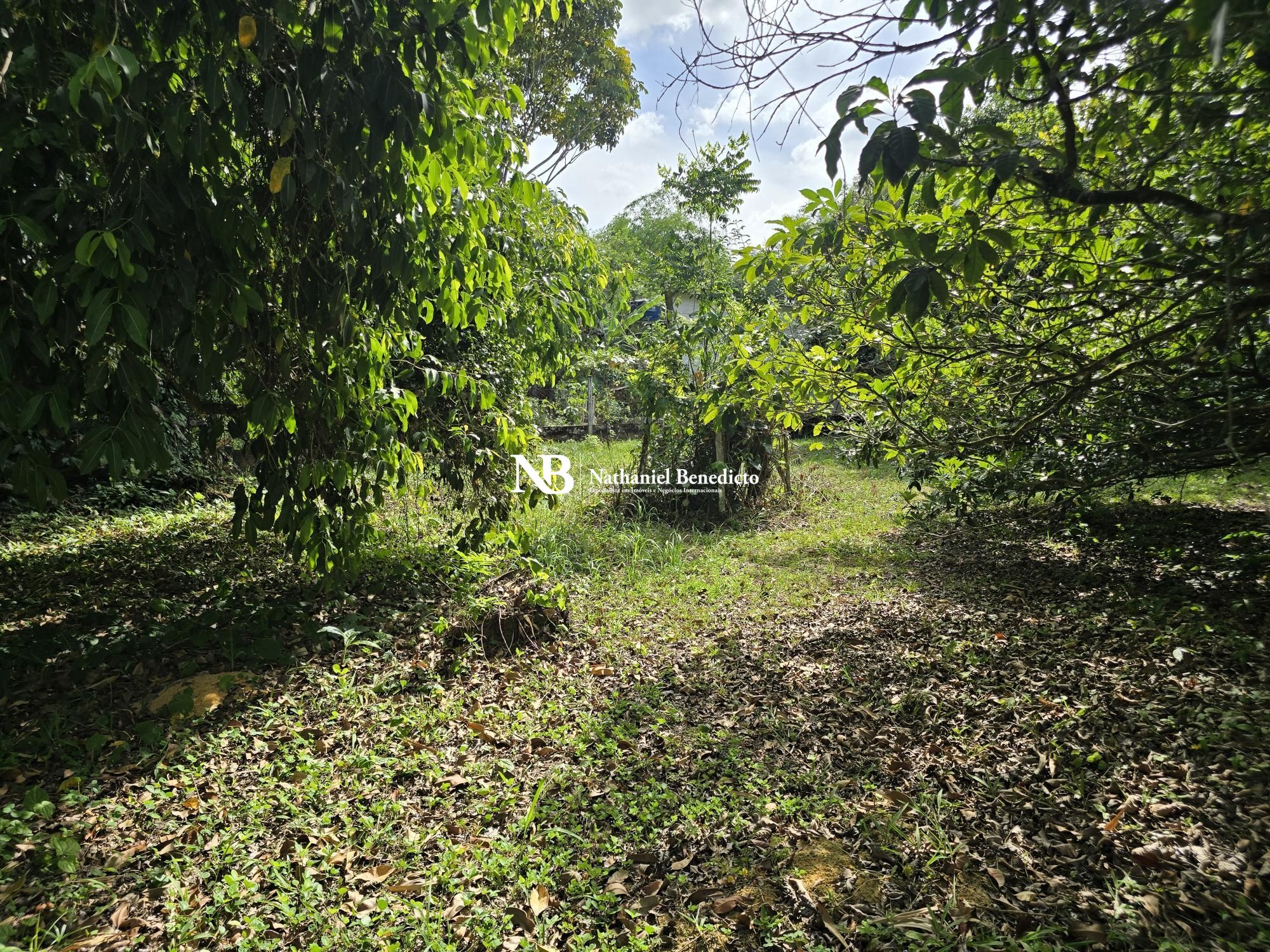 Casa, 3 quartos, 120 m² - Foto 6