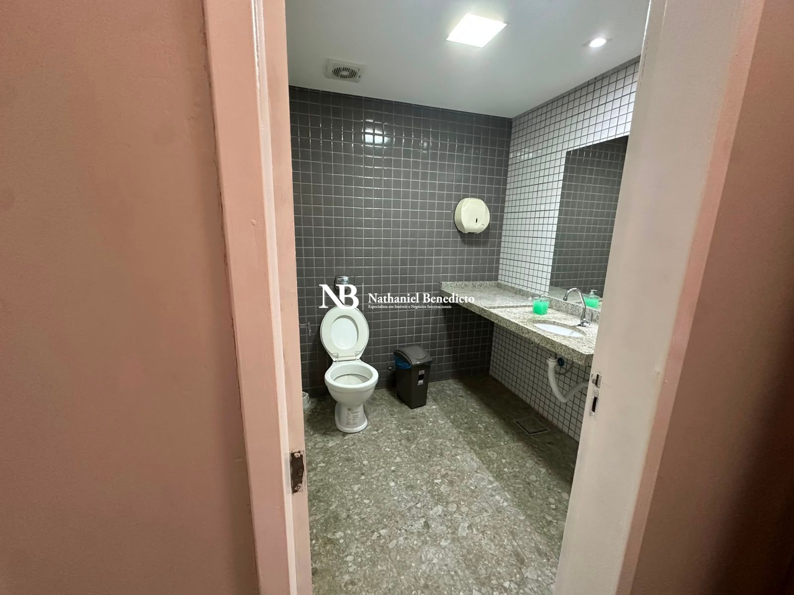 Casa, 9 quartos, 365 m² - Foto 32