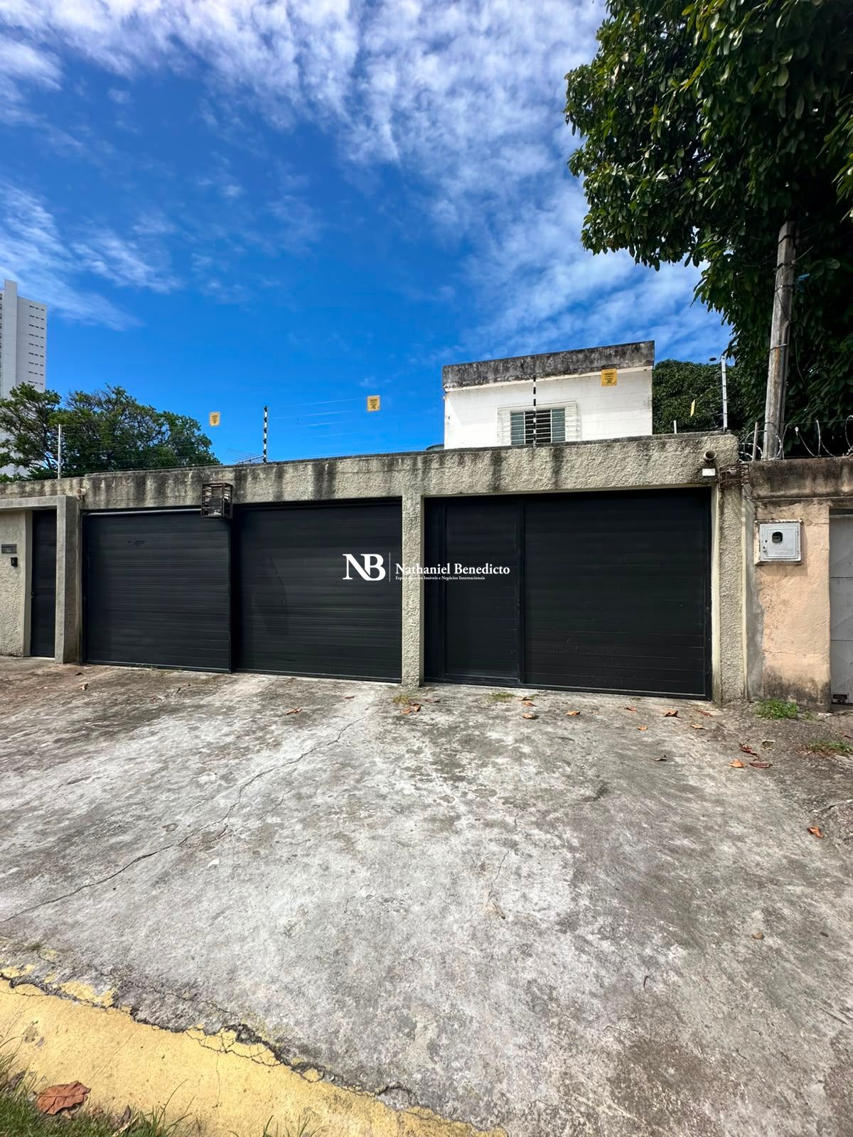 Casa, 9 quartos, 365 m² - Foto 3