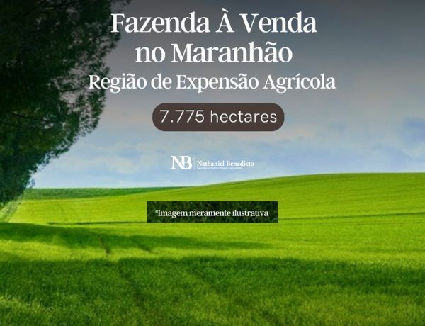 Fazenda, 7775 hectares - Foto 1