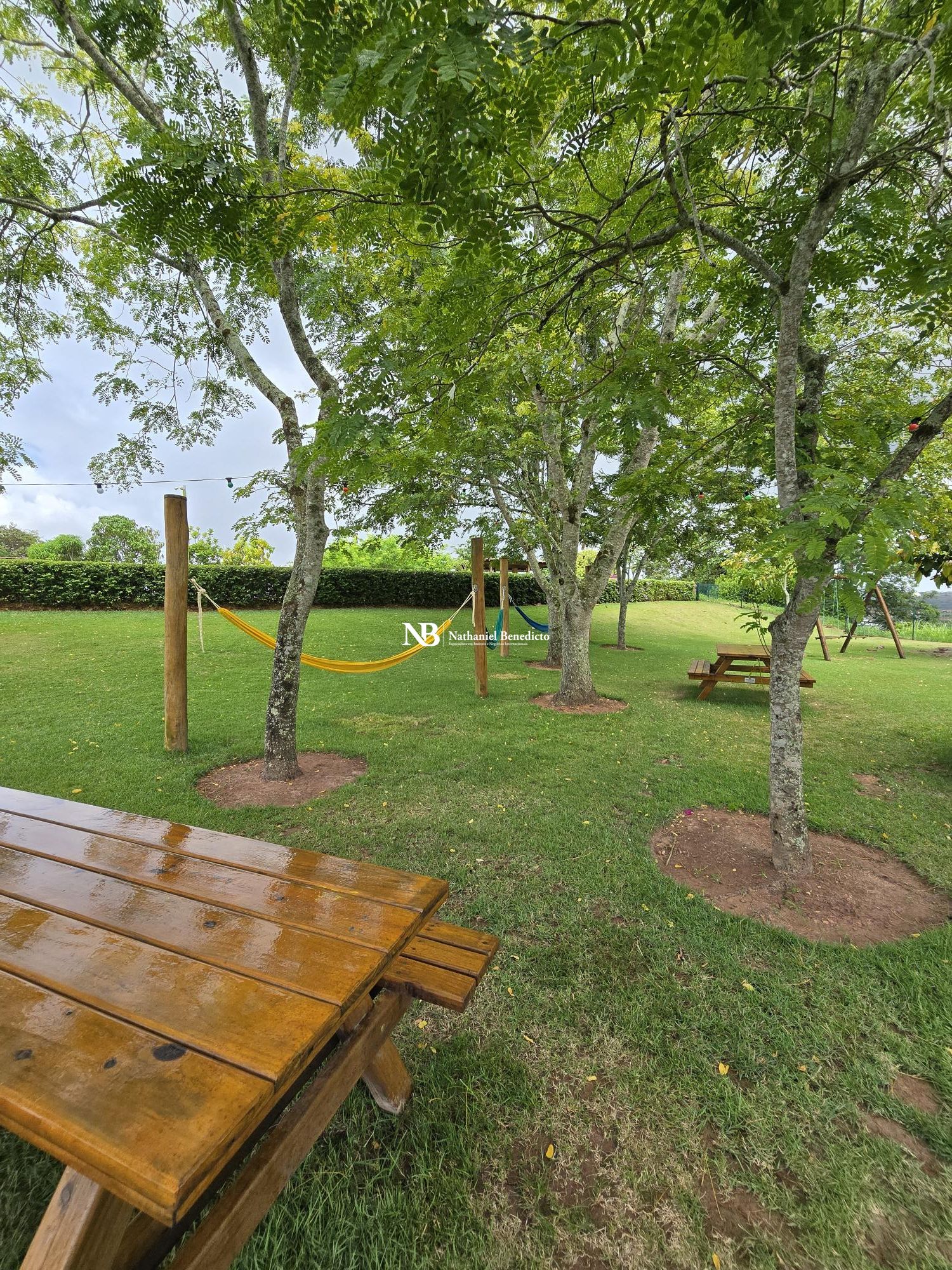 Terreno, 436 m² - Foto 35