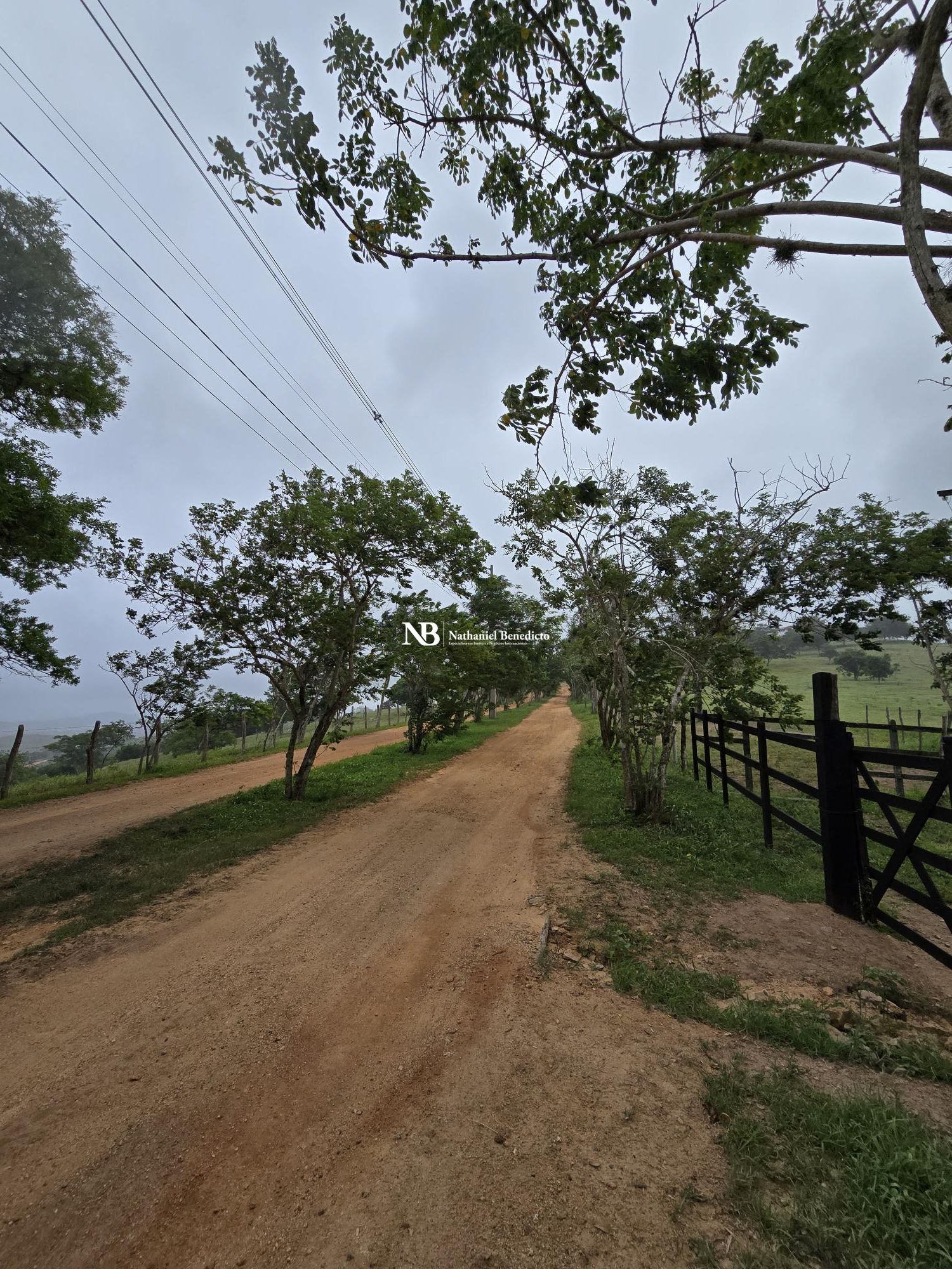 Terreno/Lote à venda, 4.375 m² por R$ 295.000,00 Terreno/Lote à venda, 4.375 m² por R$ 295.000,00