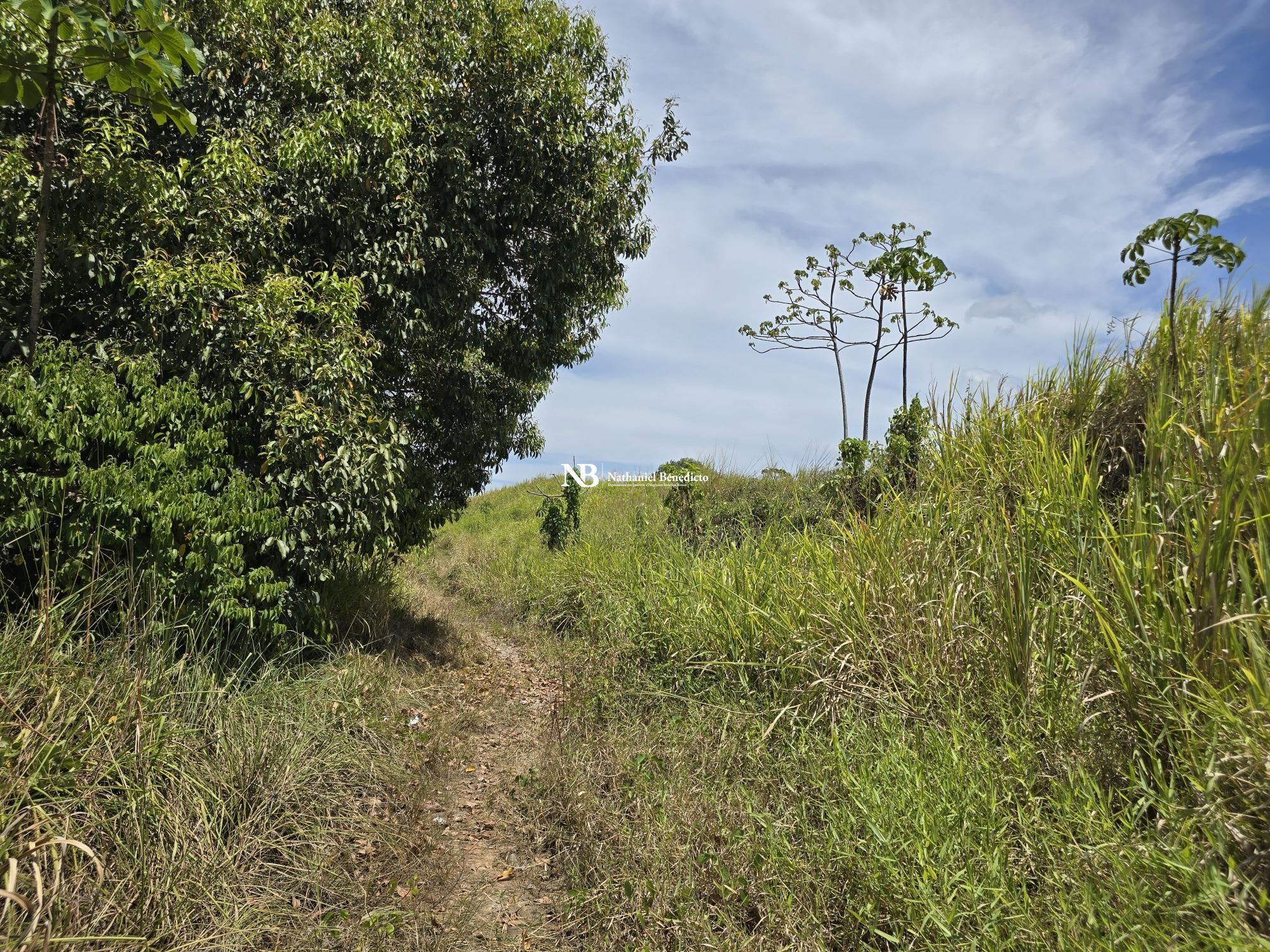 Terreno/Lote à venda  no Distrito Industrial Diper - Cabo de Santo Agostinho, PE. Imóveis