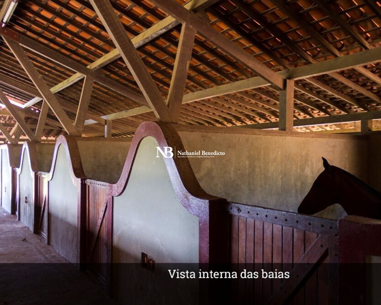 Terreno/Lote à venda, 9.399 m² por R$ 600.000,00 Terreno/Lote à venda, 9.399 m² por R$ 600.000,00