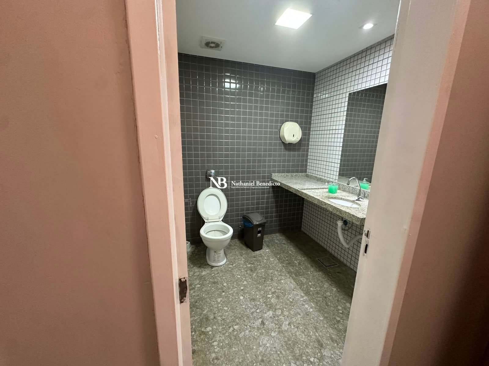 Casa, 9 quartos, 365 m² - Foto 32