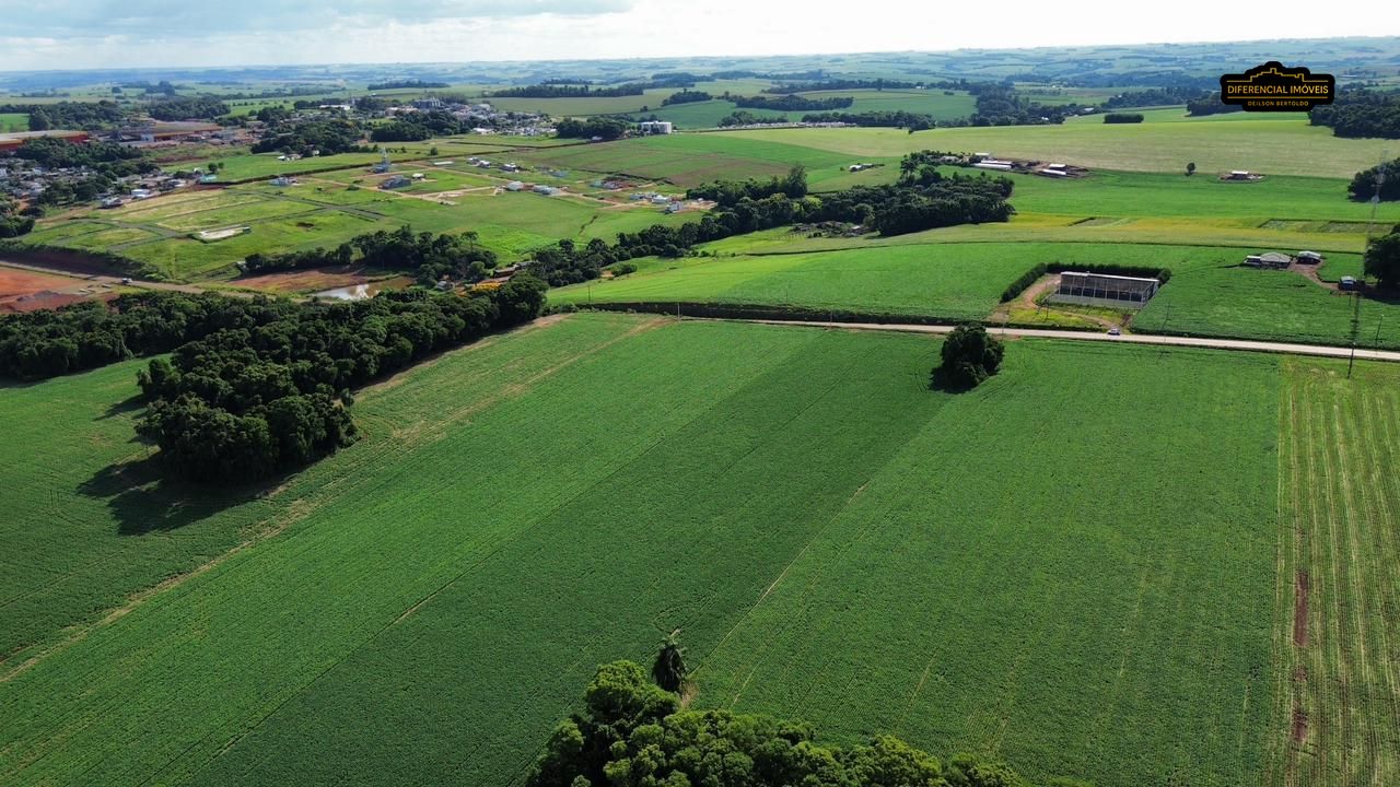Terreno, 5 hectares - Foto 6