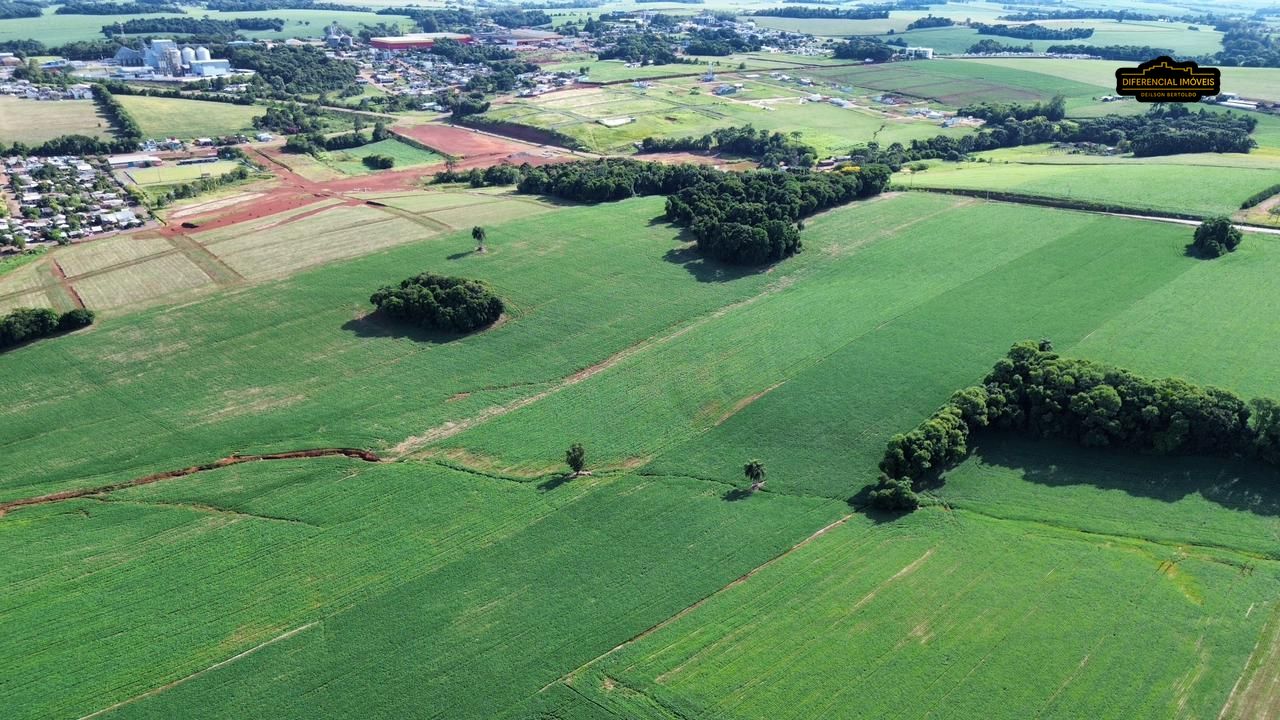 Terreno, 5 hectares - Foto 3