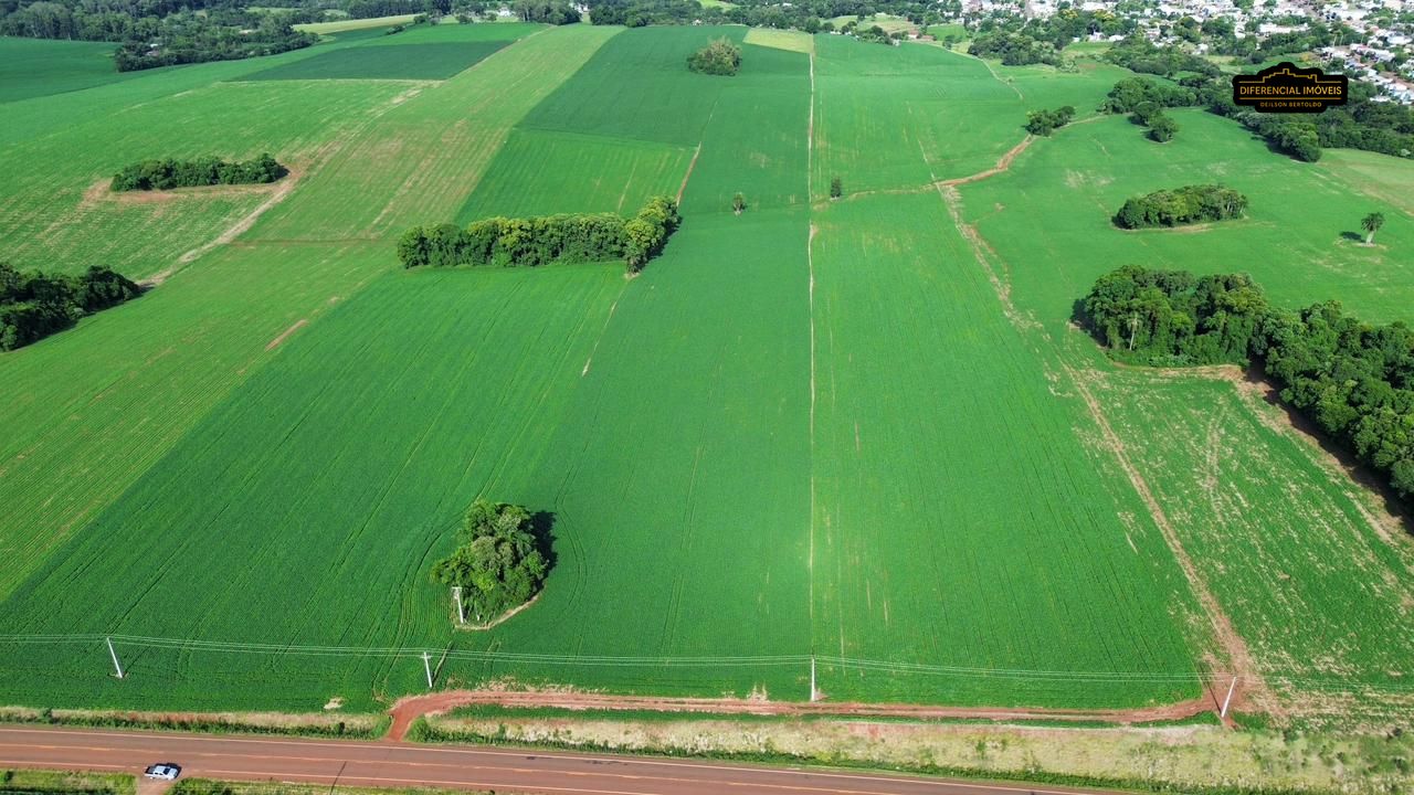 Terreno, 5 hectares - Foto 8