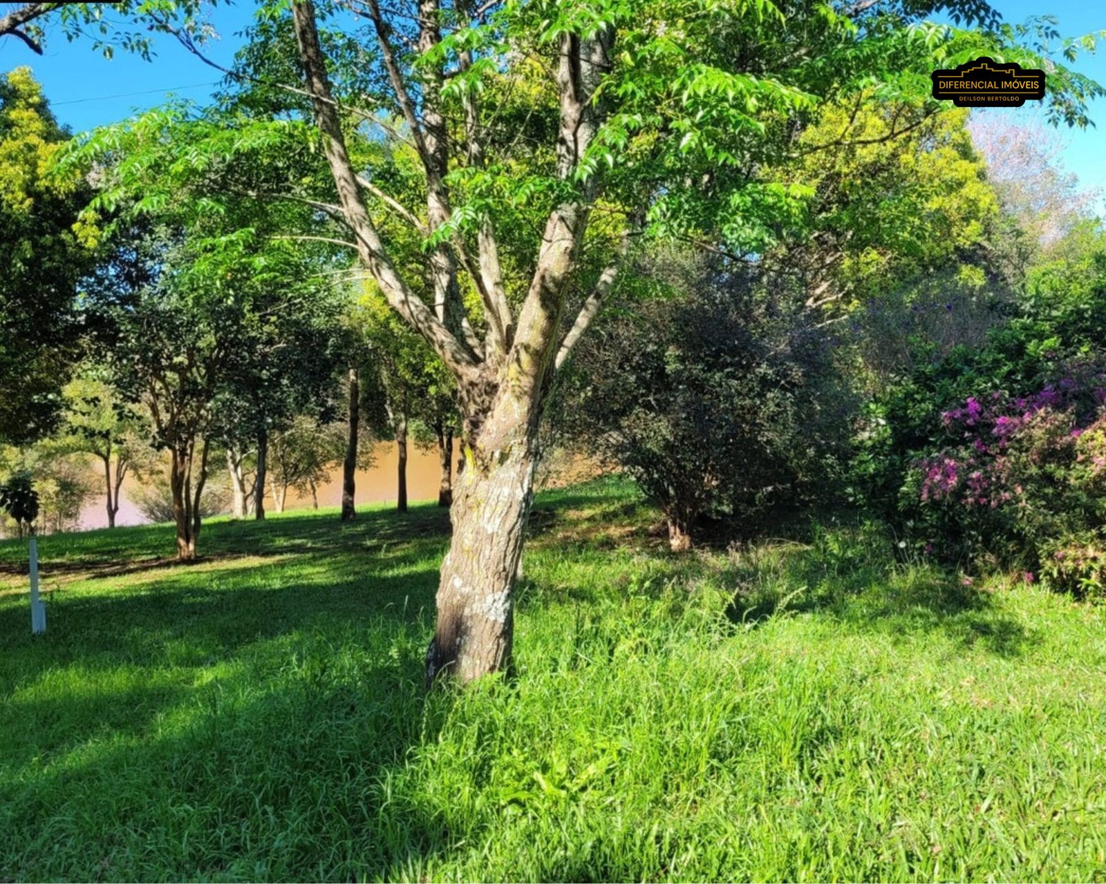 Chácara, 752 m² - Foto 4