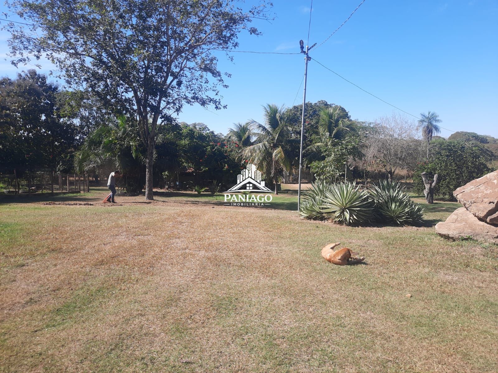 Chácara, 2 quartos, 5 hectares - Foto 10