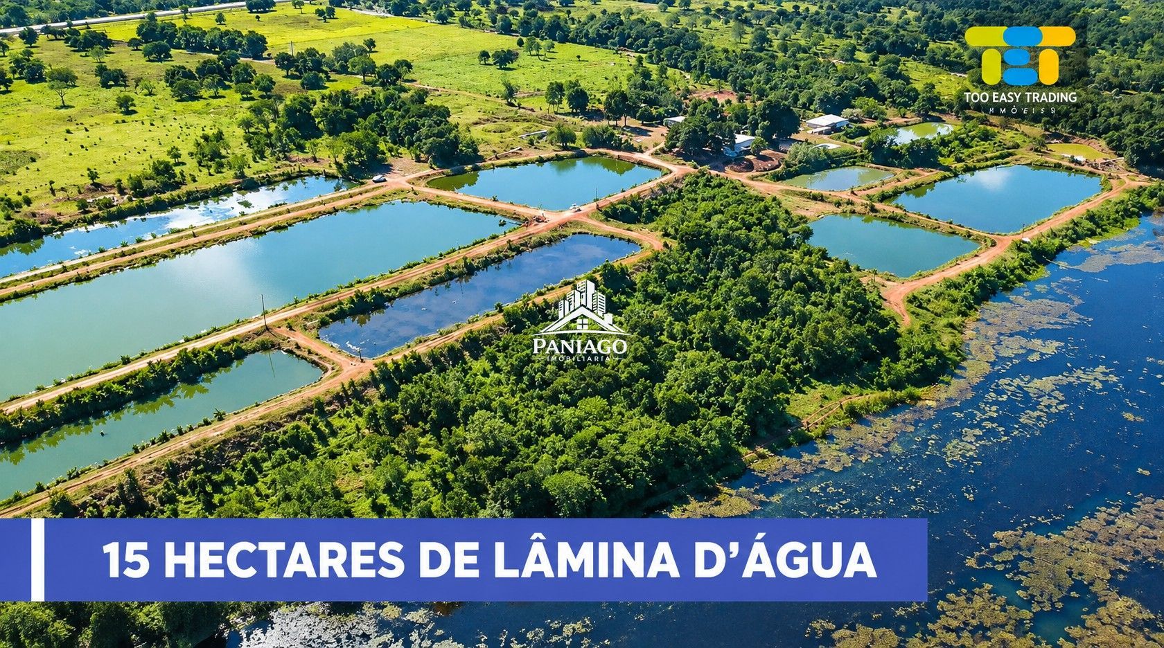 Fazenda, 117 hectares - Foto 5