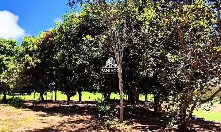 Sítio, 2 quartos, 15 hectares - Foto 6