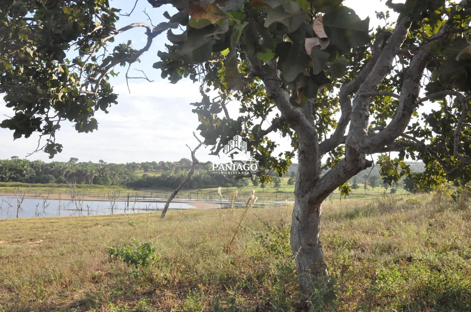 Sítio, 18 hectares - Foto 19
