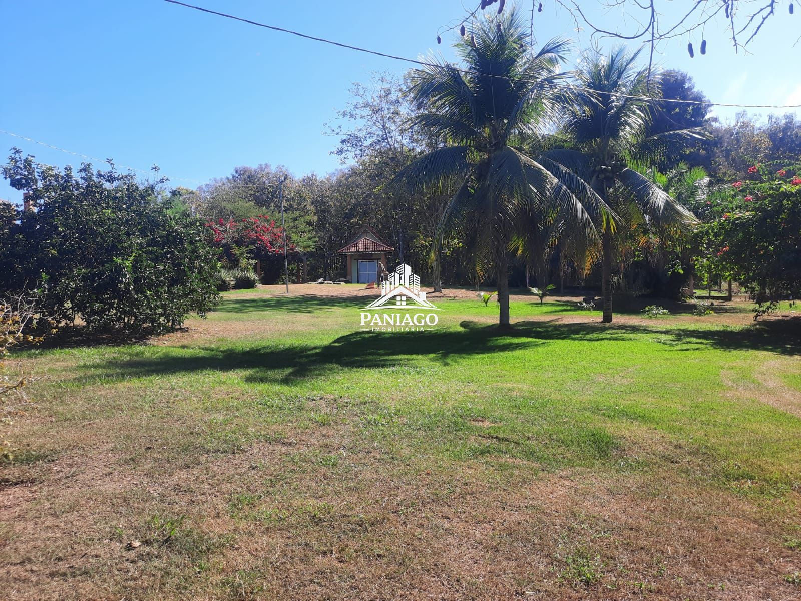 Chácara, 2 quartos, 5 hectares - Foto 12