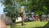 Casa, 2 quartos, 105 m² - Foto 6