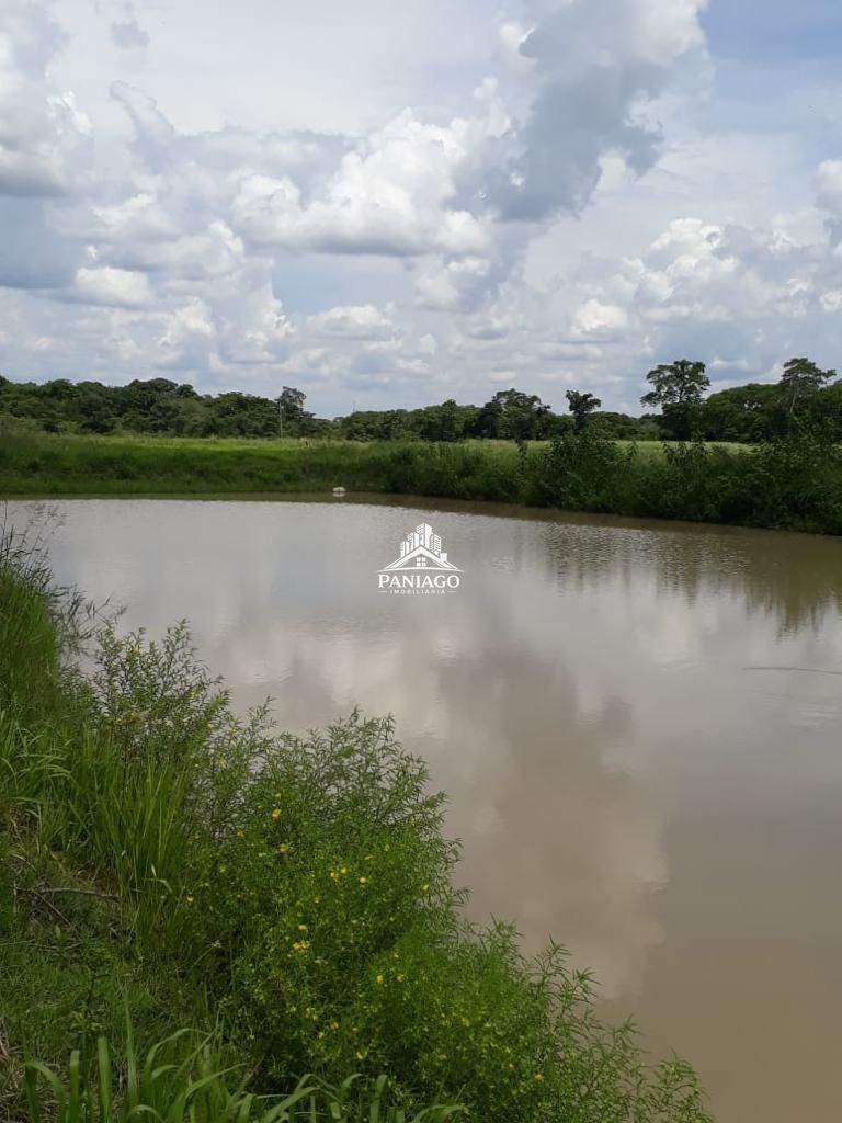 Chácara, 4 quartos, 11 hectares - Foto 46
