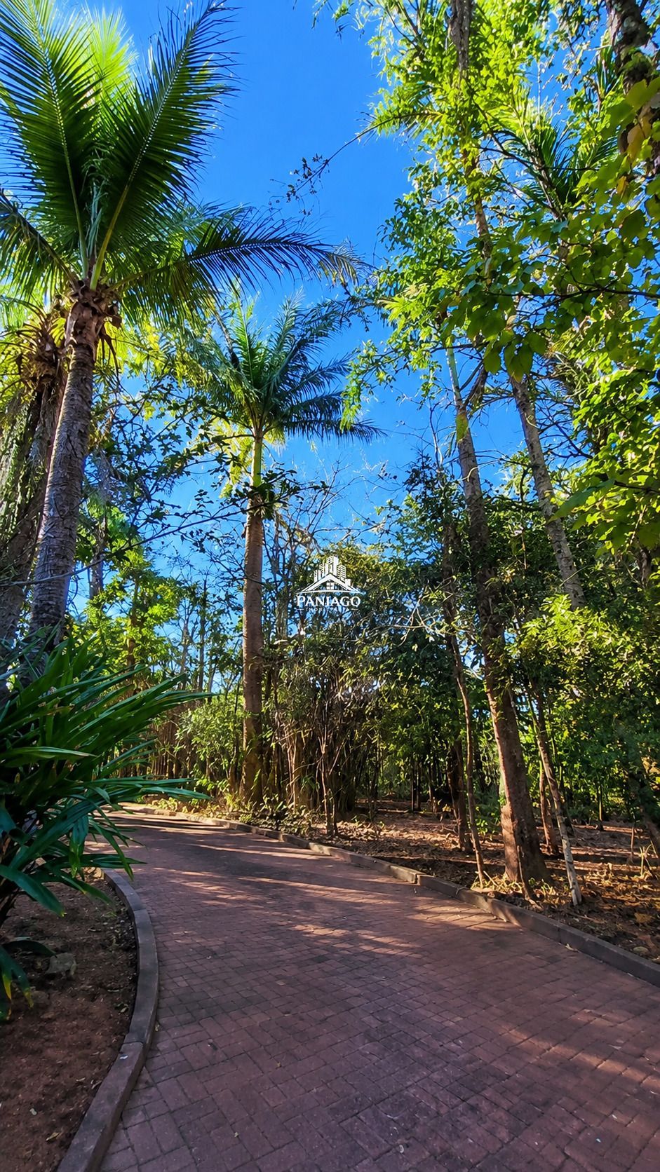 Propriedade de 13.000 m² à venda em chapada dos guimarães/mt