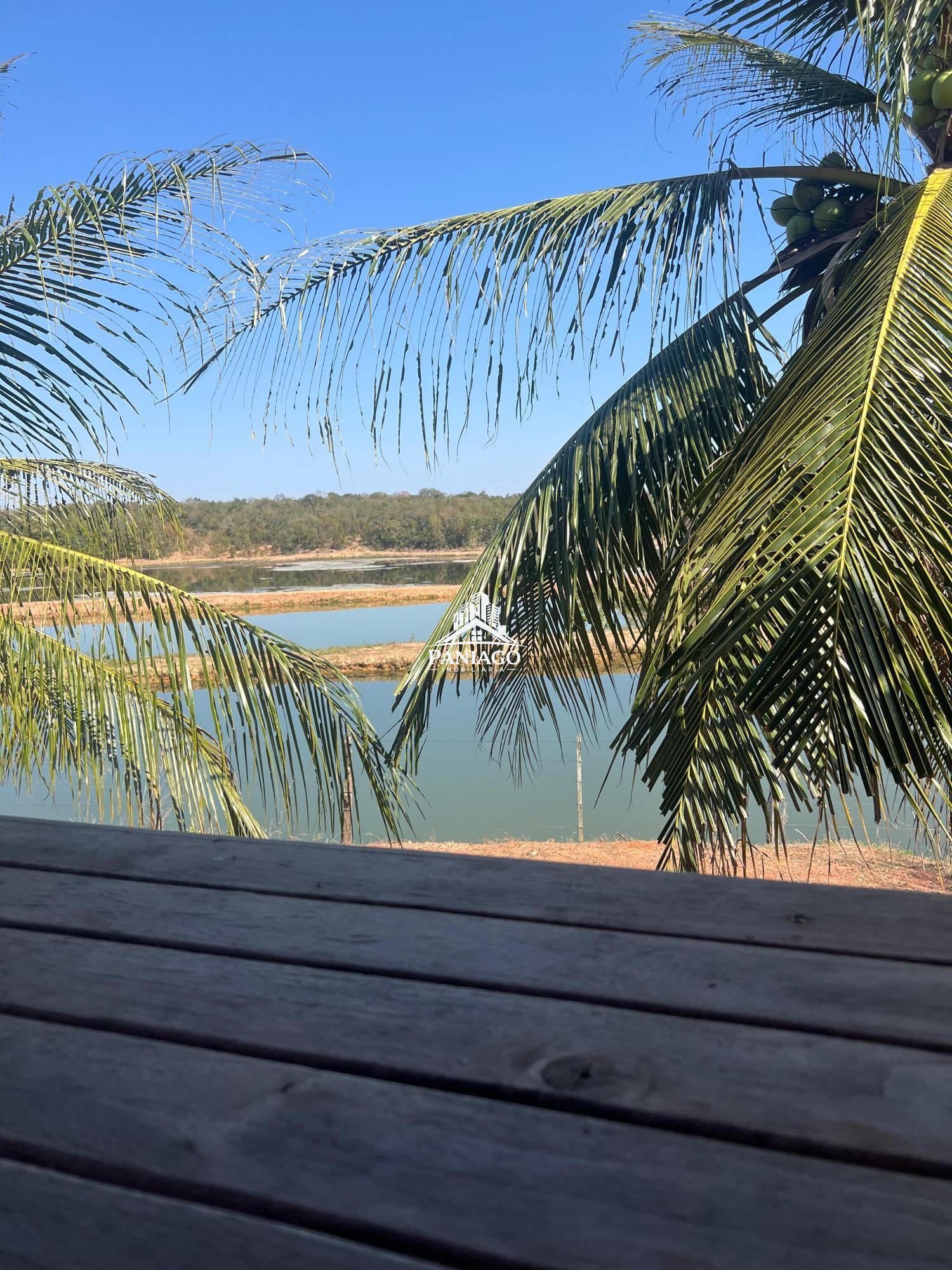 Fazenda, 117 hectares - Foto 8