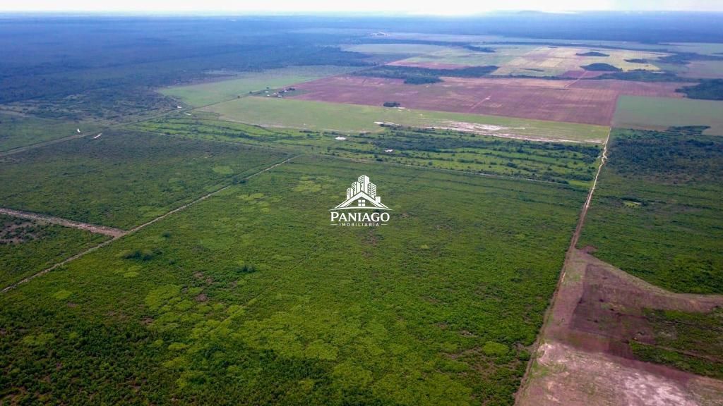 Fazenda, 39000 hectares - Foto 13