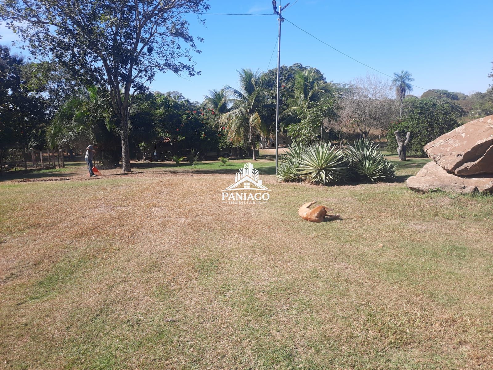 Chácara, 2 quartos, 5 hectares - Foto 11