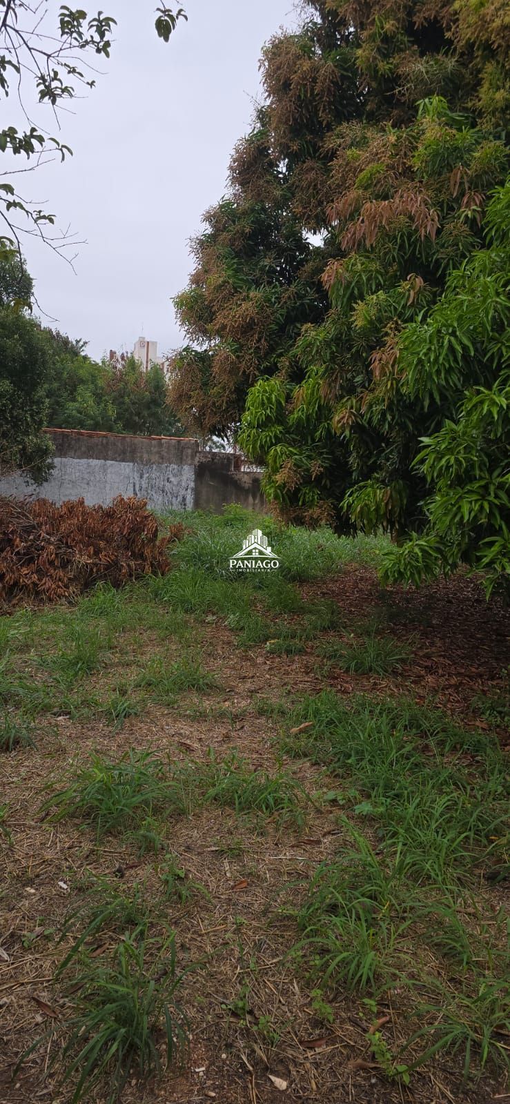 Terreno, 1100 m² - Foto 4