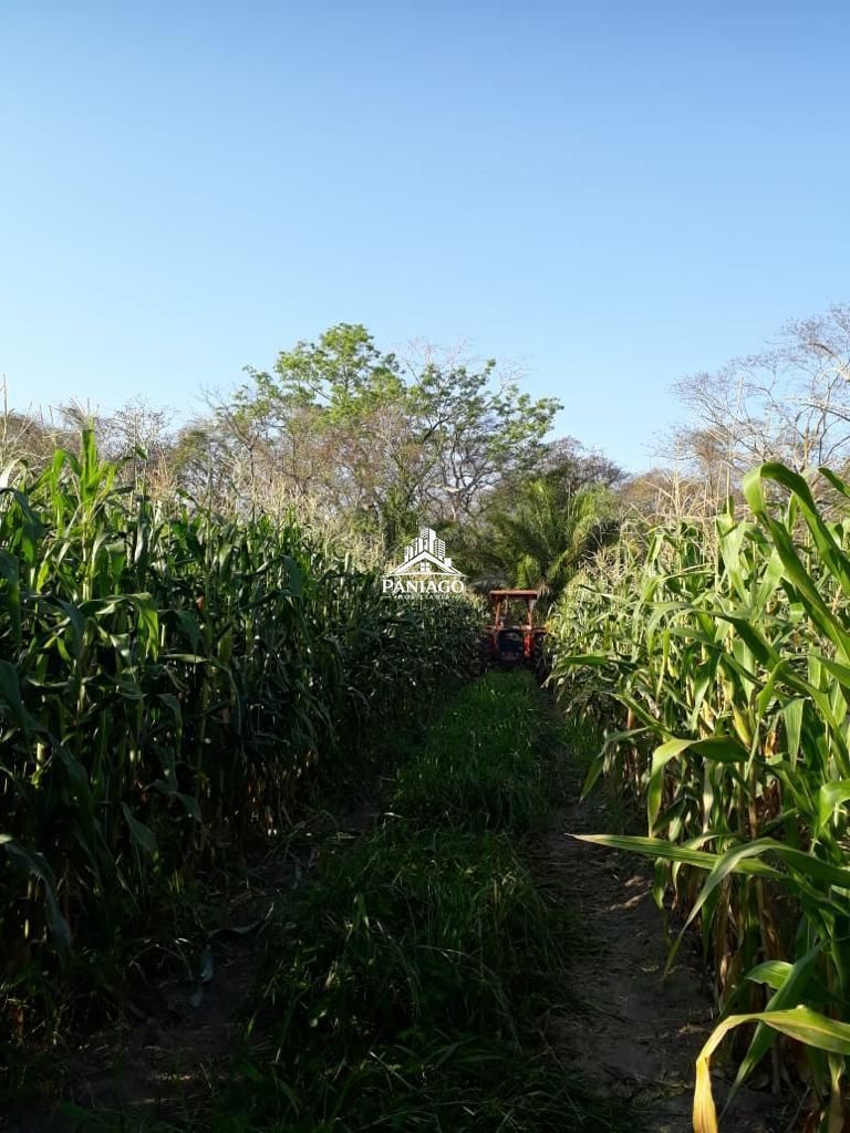 Chácara, 4 quartos, 11 hectares - Foto 27