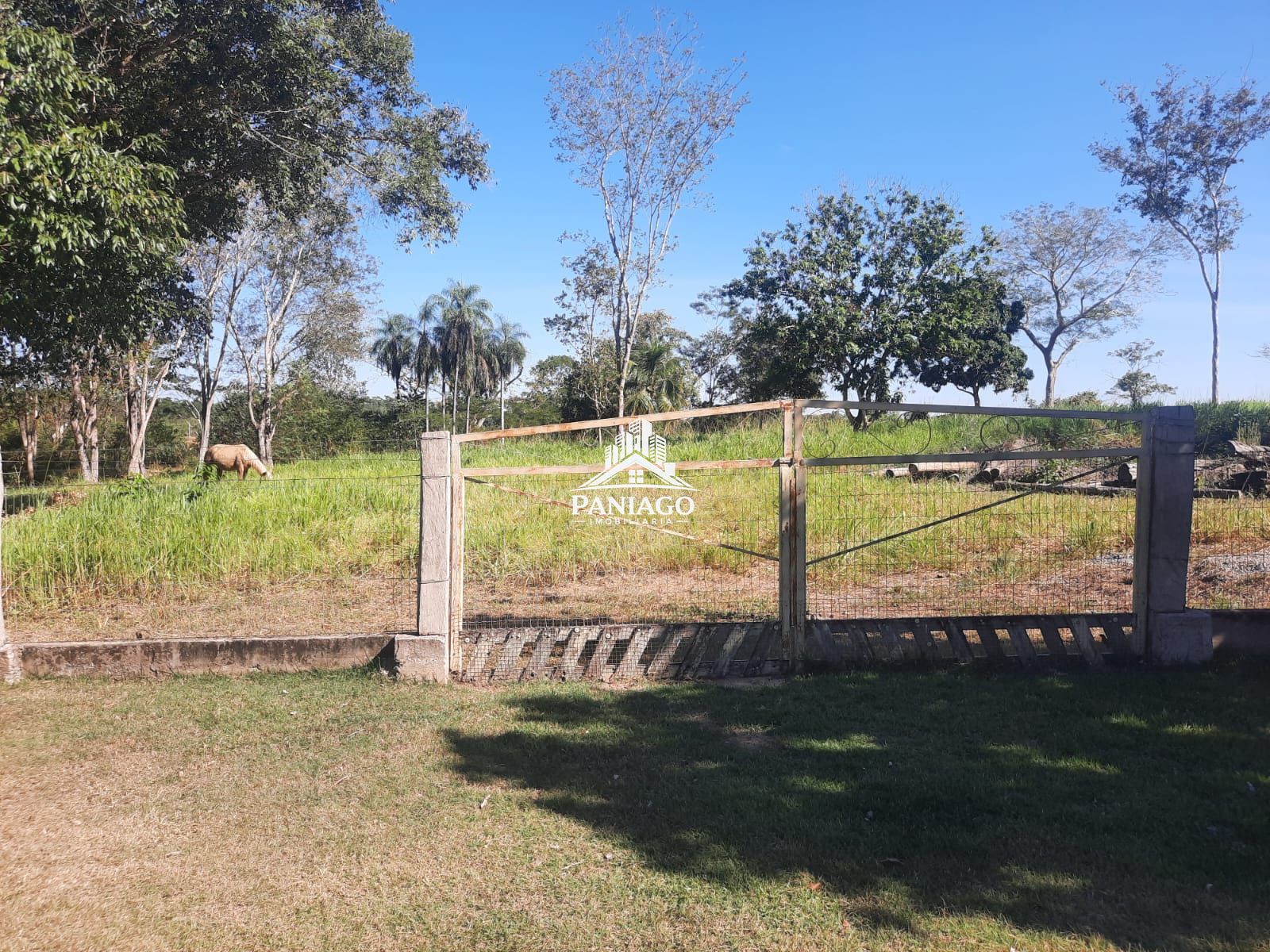 Chácara, 2 quartos, 5 hectares - Foto 4