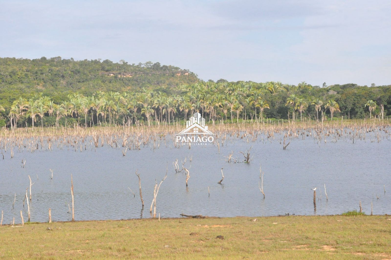Sítio, 18 hectares - Foto 15