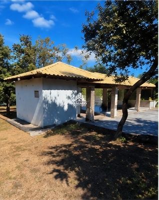 Chácara, 1 quarto, 1 hectares - Foto 6