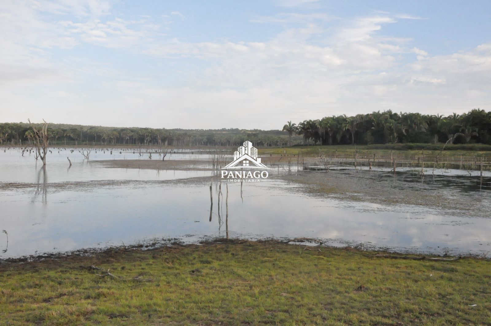 Sítio, 18 hectares - Foto 11