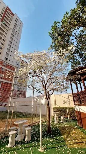 Apartamento, 3 quartos, 70 m² - Foto 4