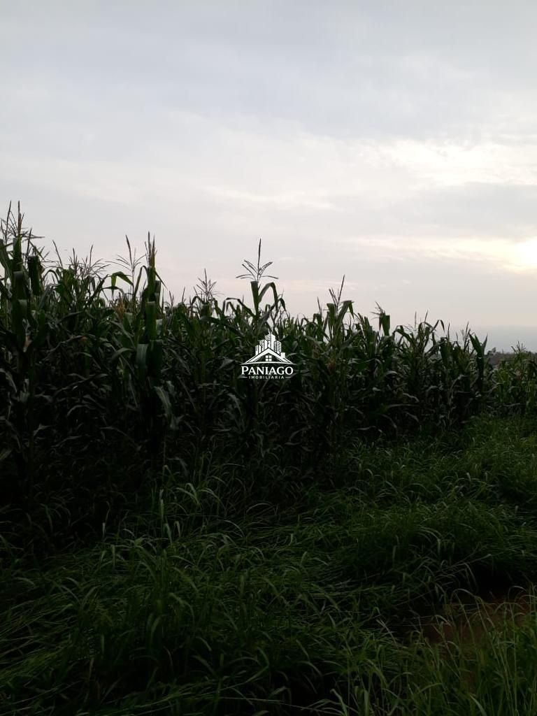 Chácara, 4 quartos, 11 hectares - Foto 32