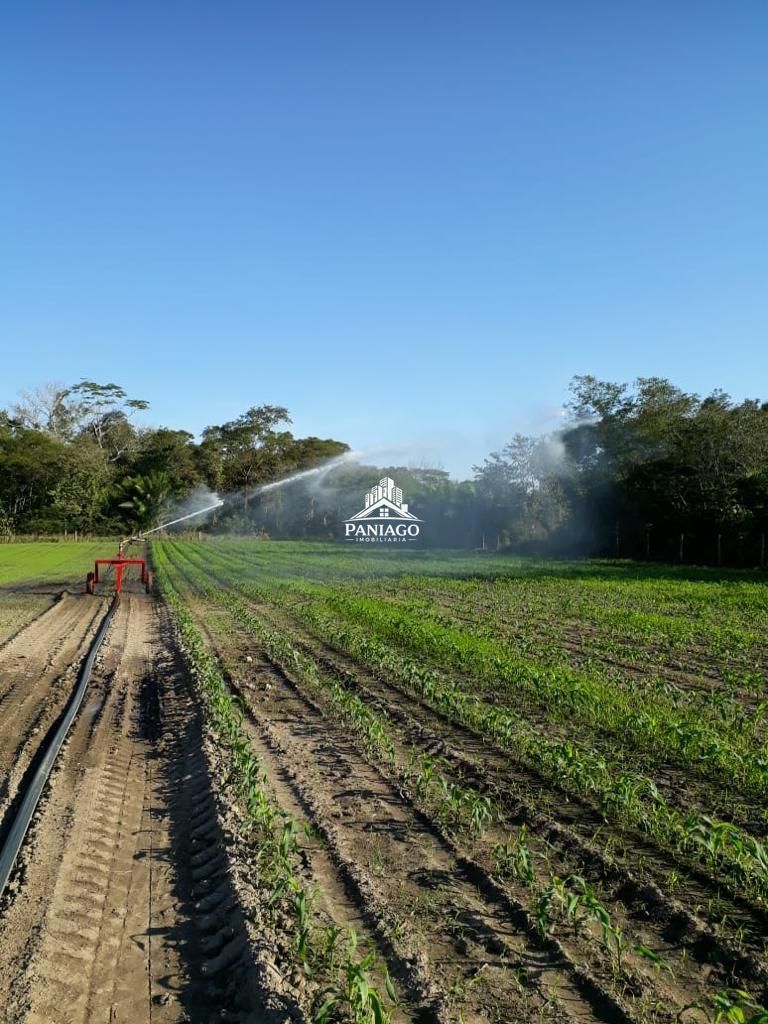 Chácara, 4 quartos, 11 hectares - Foto 18