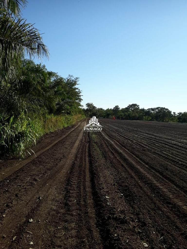 Chácara, 4 quartos, 11 hectares - Foto 3