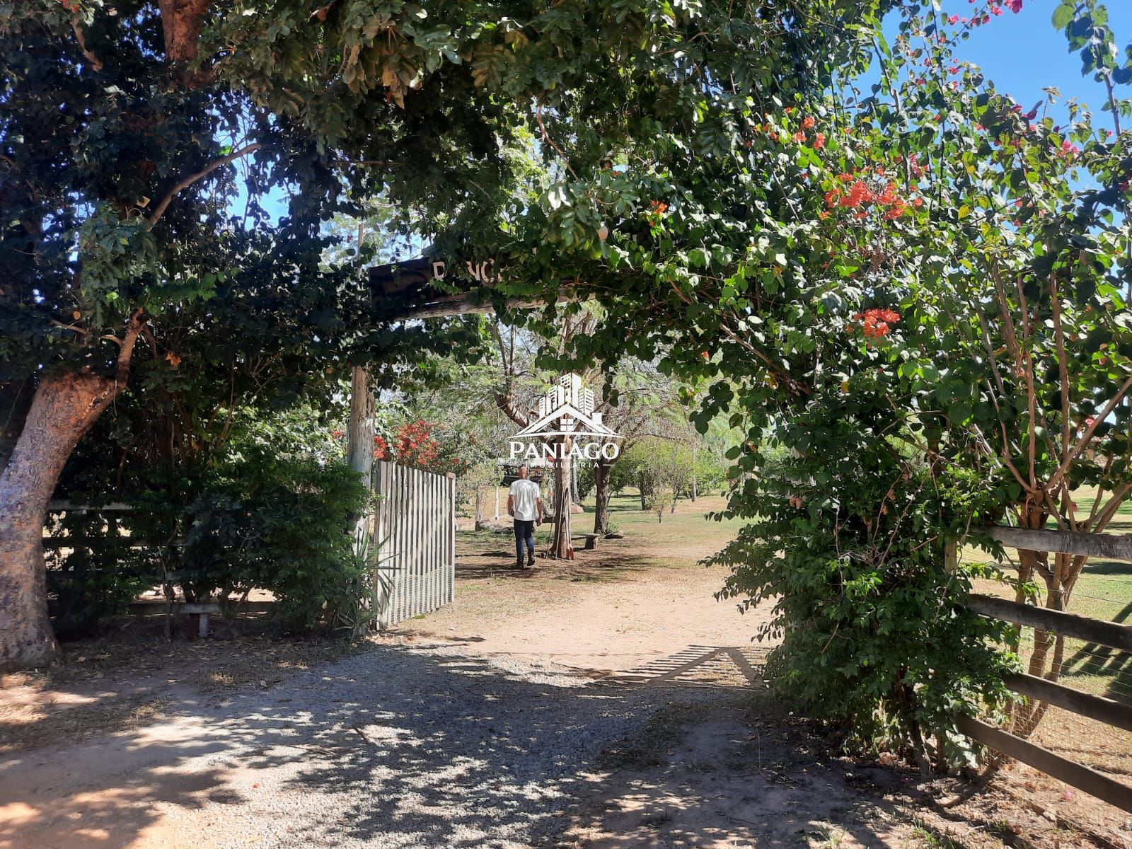 Chácara, 2 quartos, 5 hectares - Foto 14