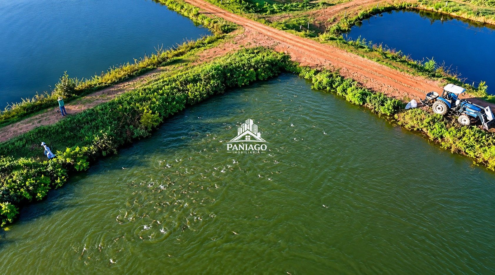 Fazenda, 117 hectares - Foto 2