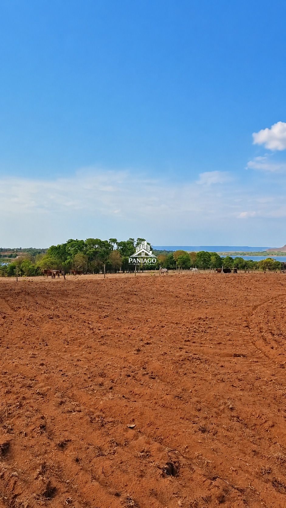 Sítio, 3 quartos, 10 hectares - Foto 8