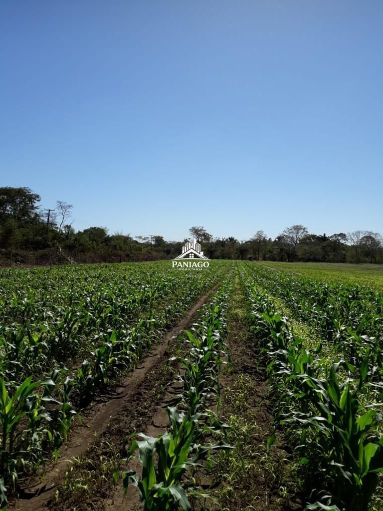 Chácara, 4 quartos, 11 hectares - Foto 19