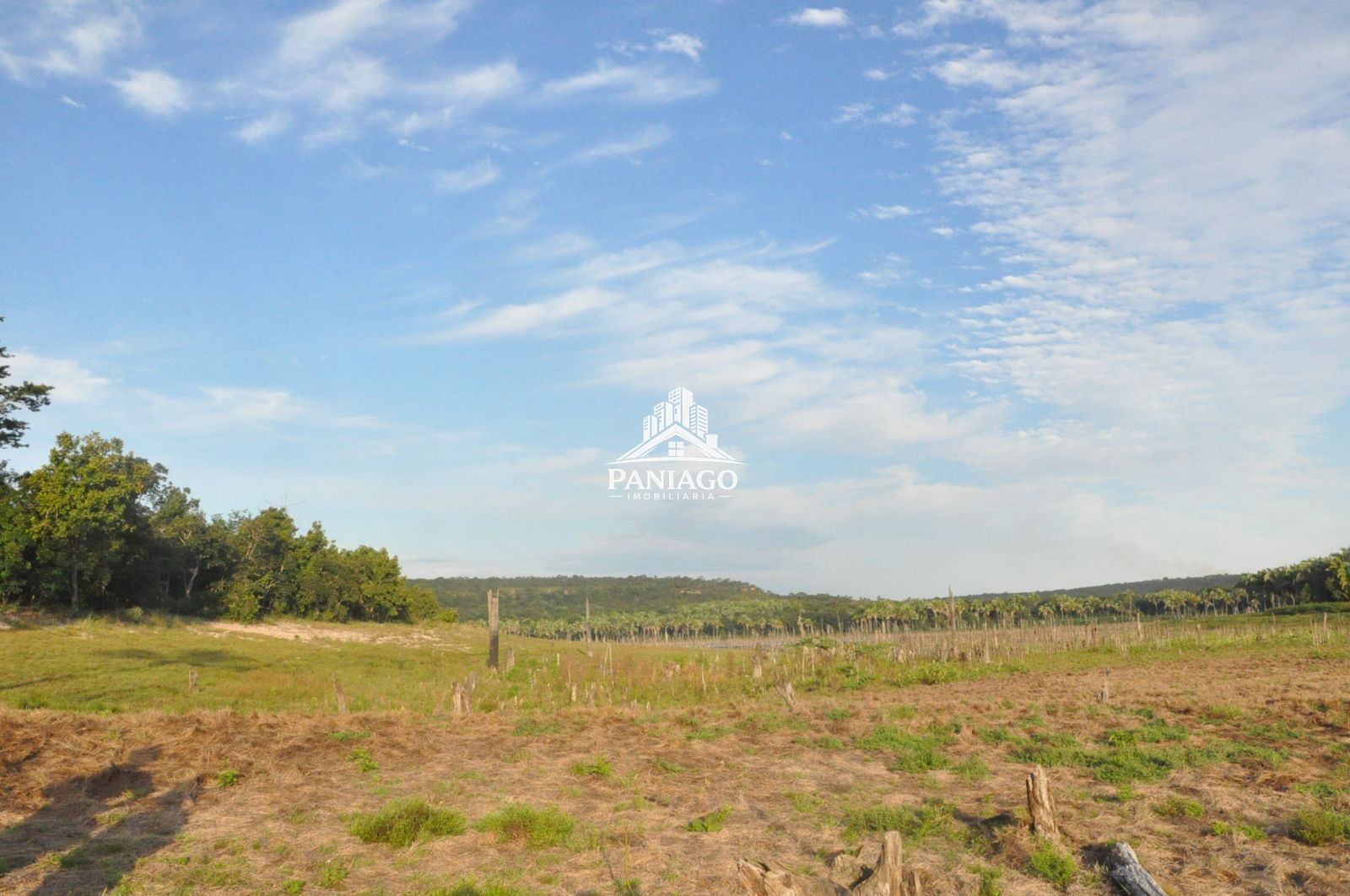 Sítio, 18 hectares - Foto 16