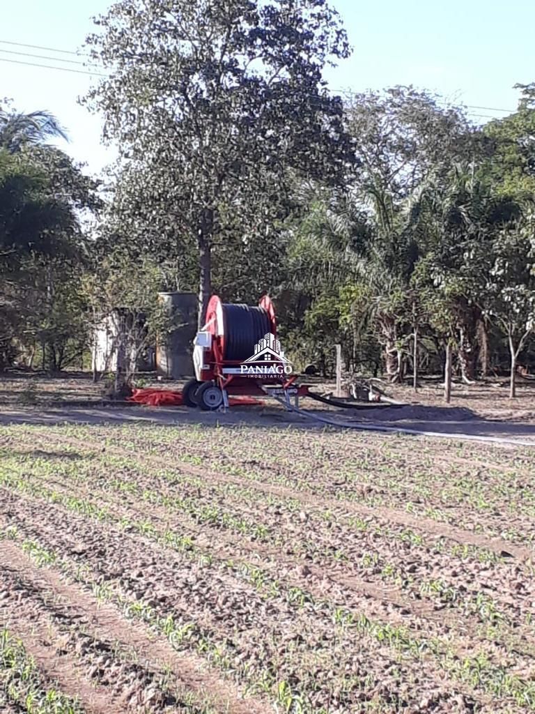 Chácara, 4 quartos, 11 hectares - Foto 8