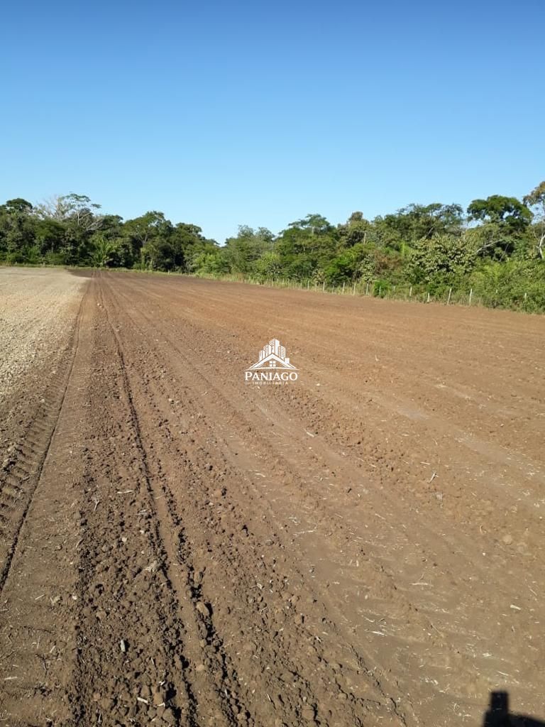 Chácara, 4 quartos, 11 hectares - Foto 2