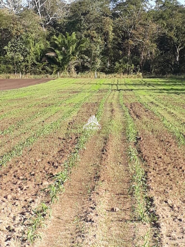 Chácara, 4 quartos, 11 hectares - Foto 11