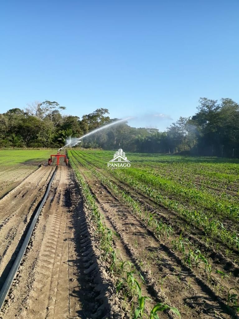 Chácara, 4 quartos, 11 hectares - Foto 1
