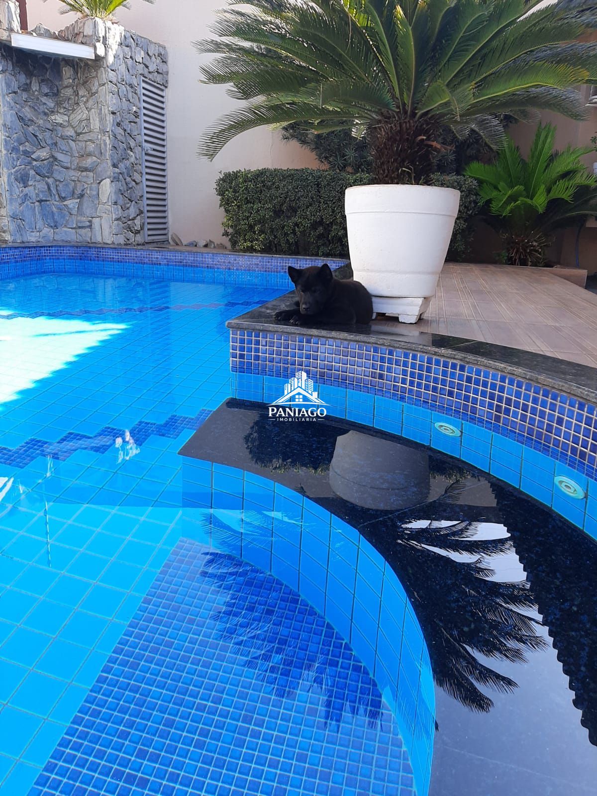 Casa, 3 quartos, 436 m² - Foto 21