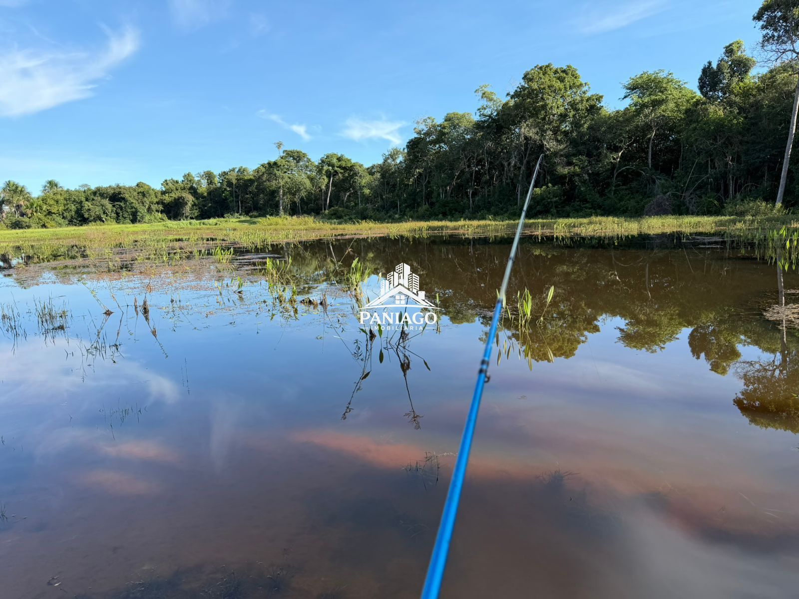 Fazenda, 1550 hectares - Foto 3