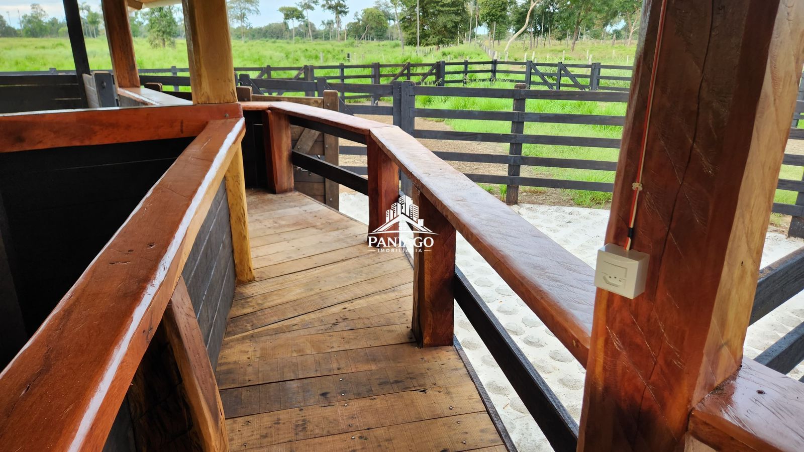 Fazenda, 1550 hectares - Foto 14