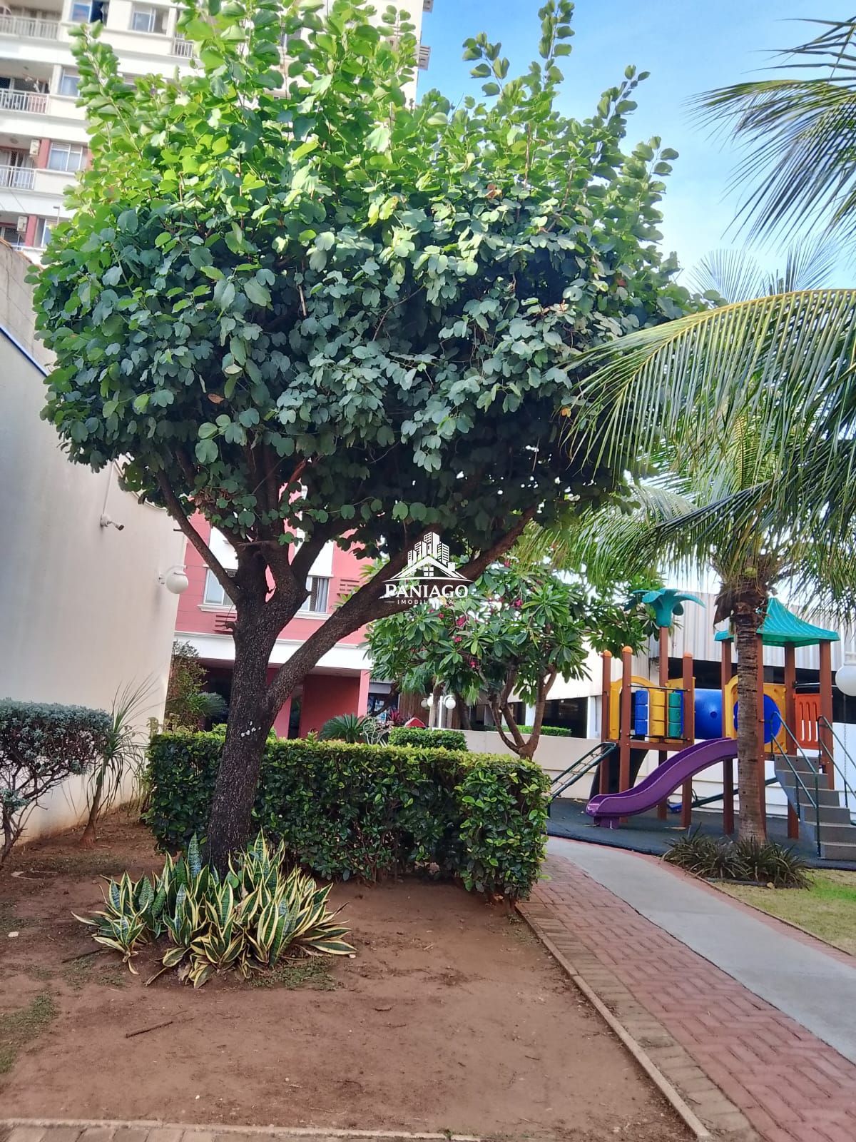 Apartamento, 3 quartos, 66 m² - Foto 19