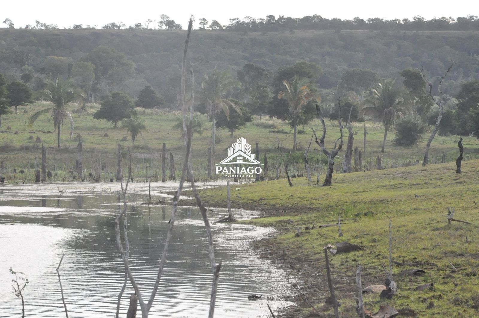 Sítio, 18 hectares - Foto 13